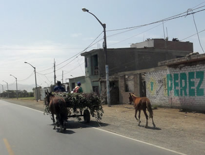 LIMA - CHOCOPE 071