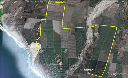 NEPEN 01
