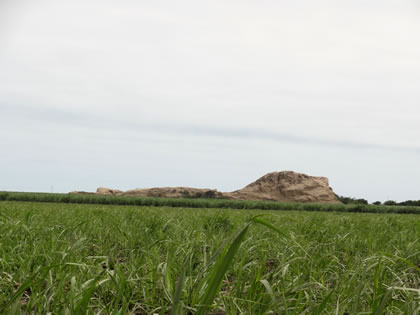 PROCESO PRODUCTIVO DEL AZUCAR 01