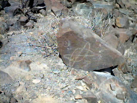 PETROGLIFOS DE CHECTA 21