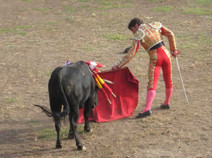 COSO TAURINO DE SANTA CATALINA 04