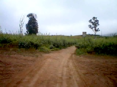 Las Lomas de Lachay
