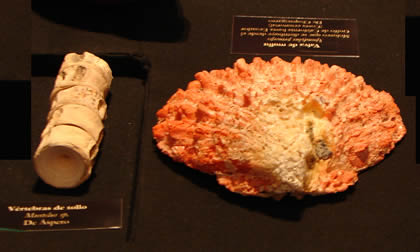 MUSEO COMUNITARIO DE VEGUETA 05