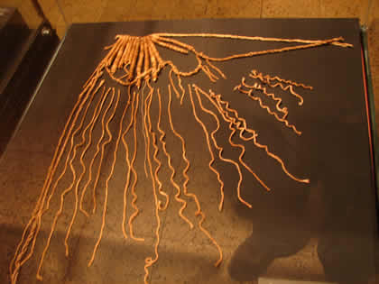 MUSEO COMUNITARIO DE VEGUETA 14