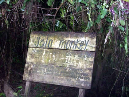 LA ISLA DE LOS MONOS 01