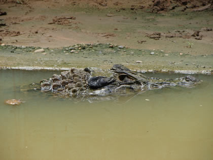 ZOOLOGICO EL JAGUAR 06