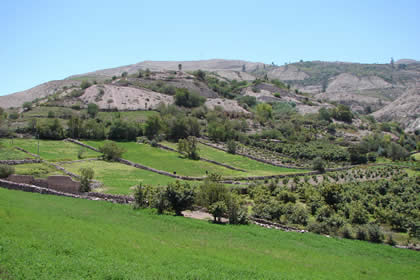 CAMPIÑA TORATEÑA 01