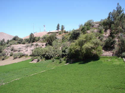 CAMPIÑA TORATEÑA 05