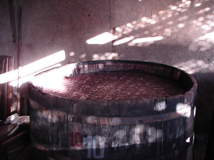 BODEGA NORVILL - MUSEO REGIONAL ENOGRAFICO 06