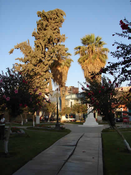 PARQUE BOLIVAR 05