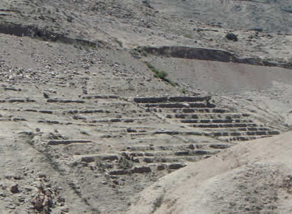 TERRAZAS PREHISPANICAS TORATA 07
