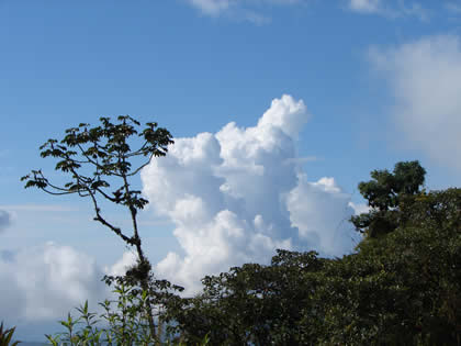 EL BOSQUE TSHO'LLET 04