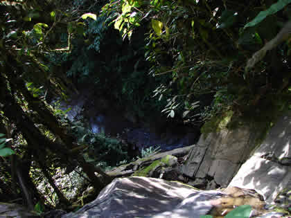 CATARATA DEL RIO TIGRE 06