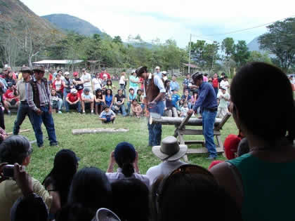 CORTE CON MOTOSIERRA 01