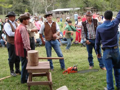 CORTE DE TRONCOS CON TROZADORA 02