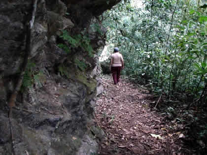 PARQUE NACIONAL YANACHAGA CHEMILLEN 17