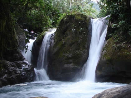 PARQUE NACIONAL YANACHAGA CHEMILLEN 44
