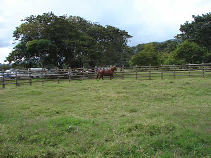 RODEO EN EL RANCHO RUFFNER 08