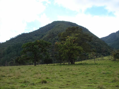 RIO CHONTABAMBA 07