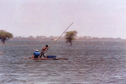 LAGUNA &Ntilde;APIQUE 01
