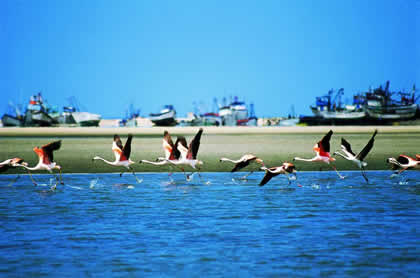 LAGUNA &Ntilde;APIQUE 02