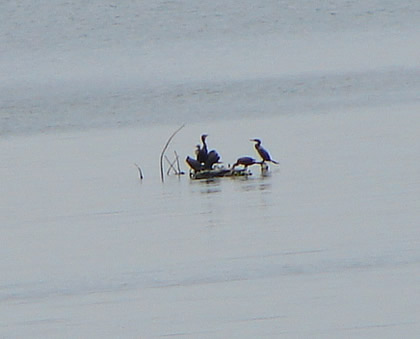 RIO CHIRA 05