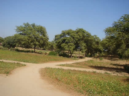 RUTA PIURA CHULUCANAS 10