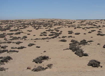 ALTO DE LA ALIANZA 06