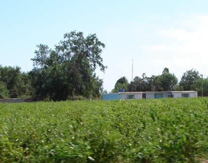 CAMPINA ITE 03