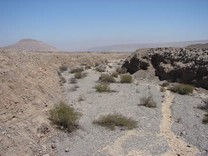 COMPLEJO ARQUEOLOGICO MICULLA 04