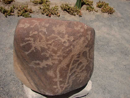 COMPLEJO ARQUEOLOGICO MICULLA MUSEO 31