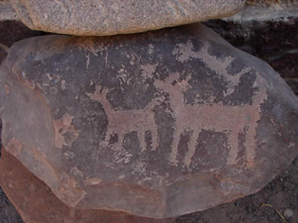 COMPLEJO ARQUEOLOGICO MICULLA MUSEO 45