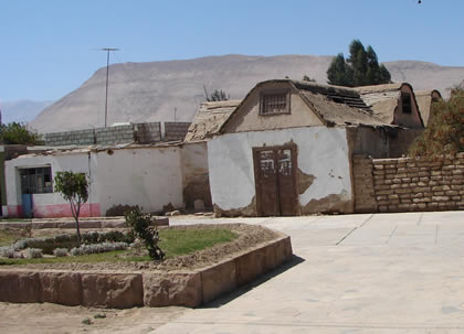 PACHIA 03