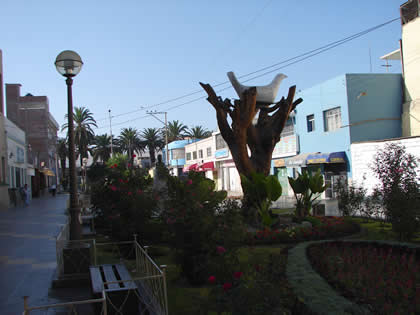 PASAJE VIGIL 05
