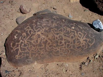 PETROGLIFOS DE SAN FRANCISCO DE MICULLA 24