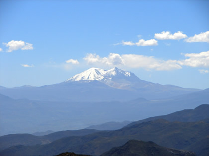 TARUCACHI ESTIQUE PAMPA PALQUILLA 14