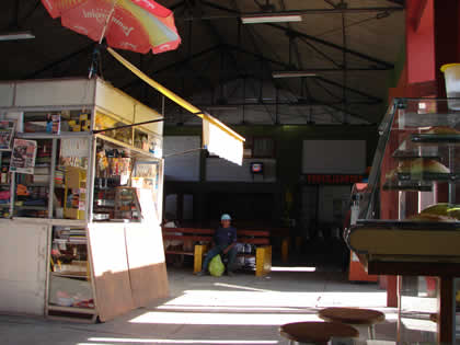 TERMINAL BOLOGNESI 04