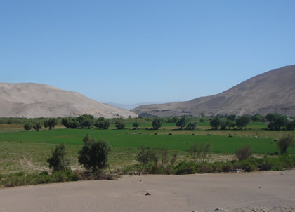 VALLE LOCUMBA 04