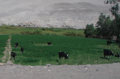 VALLE LOCUMBA 05