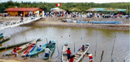 ASOCIACION DE EXTRACTORES TRADICIONALES DE RECURSOS HIDROBIOLOGICOS NUEVA ESPERANZA LOS MANGLARES 02