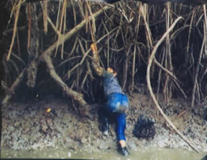 EL CONCHERO 02