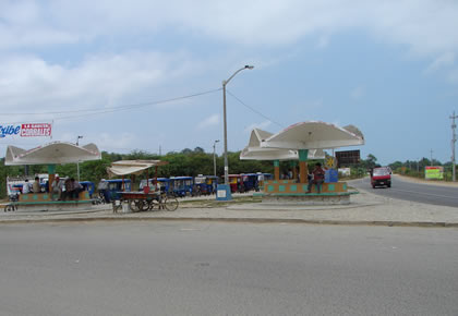 DISTRITO DE CORRALES 01