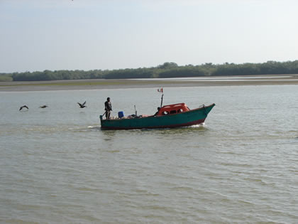 PASEOS EN BOTE EN PUERTO PIZARRO 04