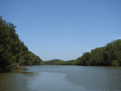 SANTUARIO NACIONAL LOS MANGLARES DE TUMBES 06